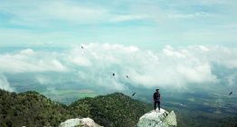 Cerro de San Juan, Sangangüey y Ceboruco: rutas de montaña en Nayarit