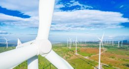 Invertirán 250 mdd en nuevo parque eólico en Argentina