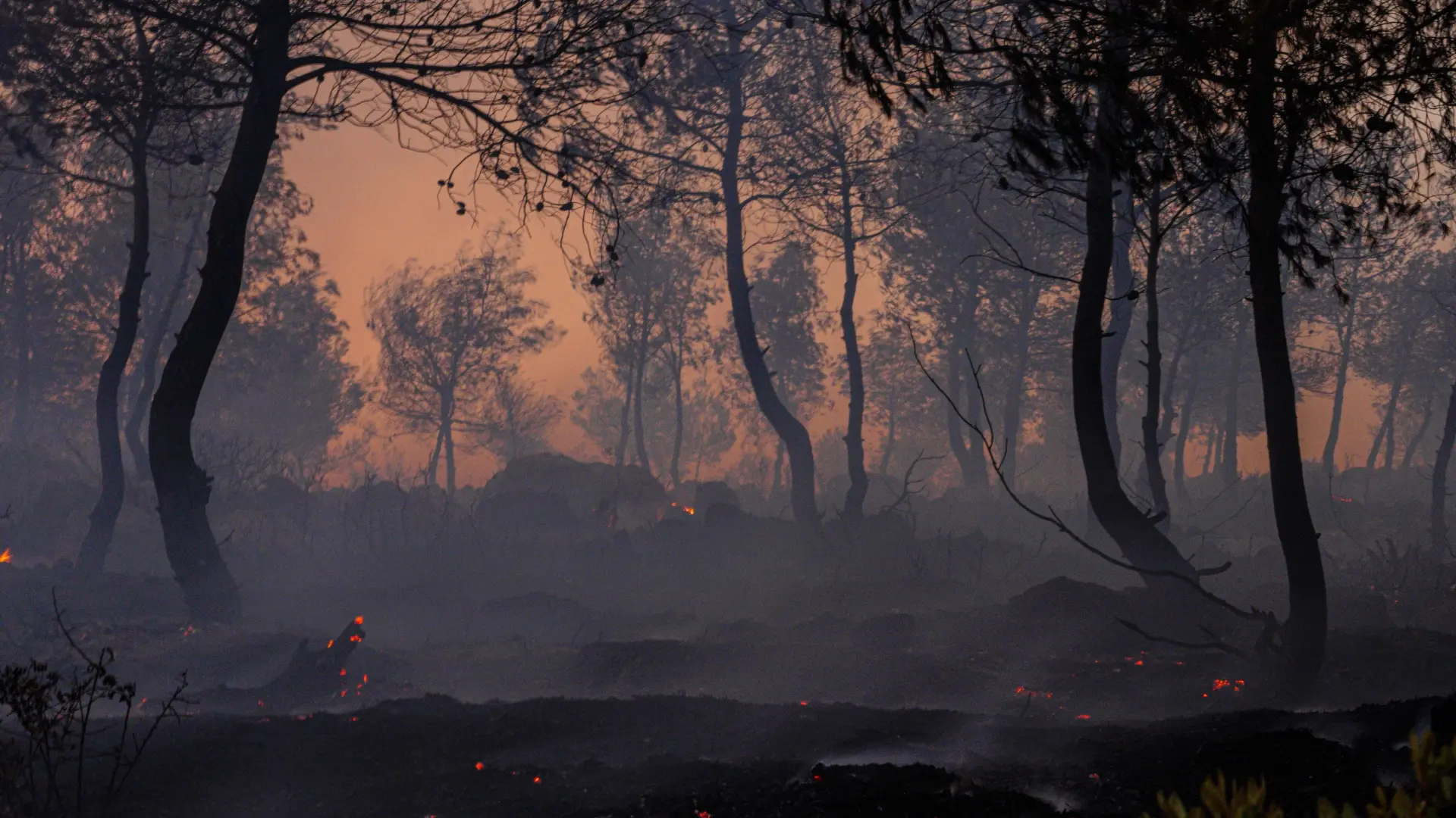 Grecia despliega 5.000 bomberos para combatir decenas de incendios forestales
