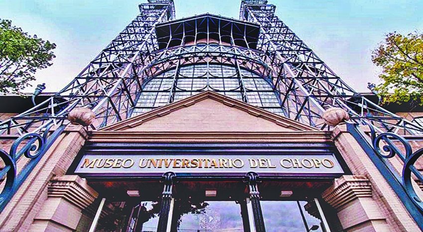 Museo del Chopo alista un gran vistazo a 50 años de vida