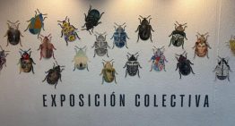 Inauguran «De la idea a la obra, Metamorfosis», un homenaje a Franz Kafka