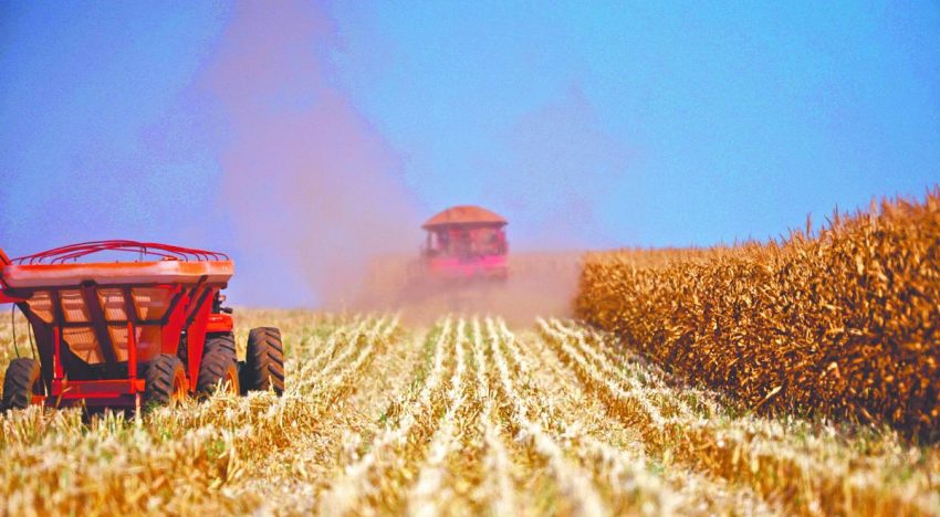 Soya y maíz operan volátiles a la espera de estimado agrícola en EU