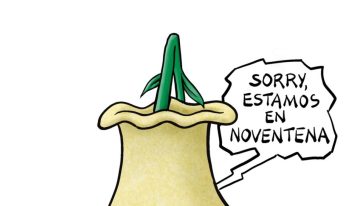 Etiquetado frontal