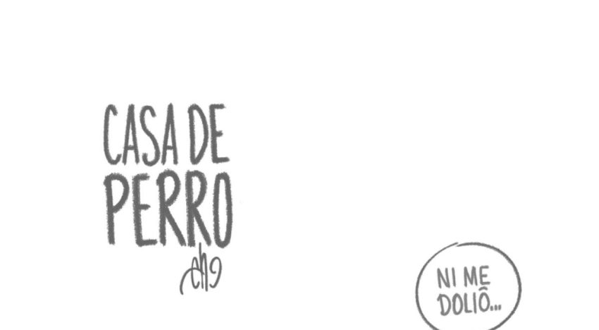 Casa de perro