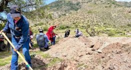 Con 1 millón de plantas, Estado reforestará Sierra de San Miguelito