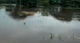 Dura travesía: Inundaciones en Apure complica el traslado a Caracas de dos hermanos con cáncer (VIDEO)
