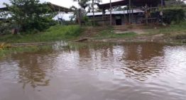 Crecida del río Orinoco recrudece brotes de fiebre y gripe en comunidades indígenas de Delta Amacuro