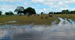 Ondas tropicales amenazan con agravar la emergencia en Barinas por las intensas lluvias