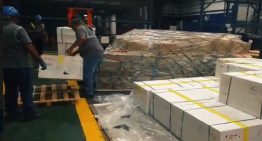 Llegaron a Venezuela 226 mil dosis de vacunas contra la fiebre amarilla