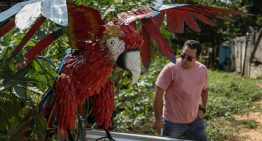 El venezolano que convierte la chatarra en impresionantes esculturas