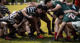 Susto en el rugby de Mar del Plata: un jugador de intermedia convulsionó en pleno partido y se suspendió el juego de Primera