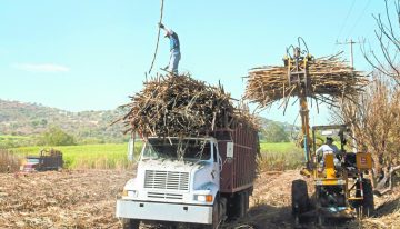 Francesa NetZero construirá en Brasil planta de biocarbón a base de caña de azúcar