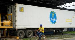 Chiquita Brands reinicia recontratación de personal en Panamá