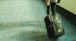 Cae el número de turistas mexicanos a Estados Unidos: WTTC