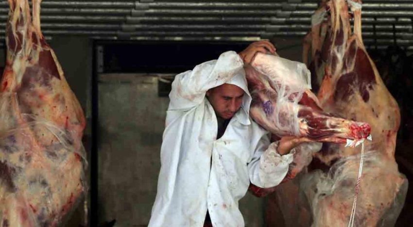 Sheinbaum anuncia programa para impulsar la producción de carne por 700 millones de pesos