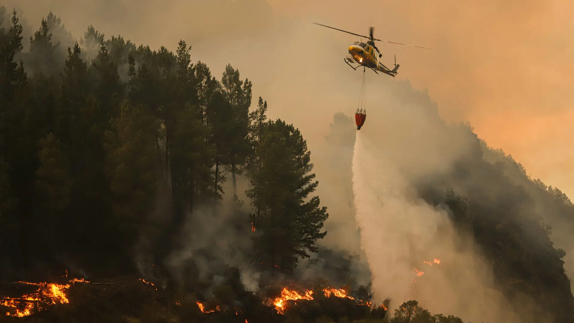 La OMM advierte de que los recientes incendios en la Península empeorarán la calidad de aire en Europa