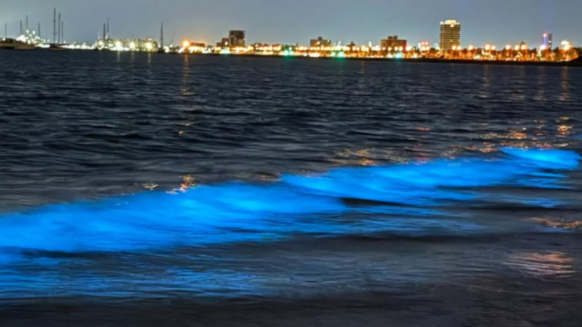 El sorprendente fenómeno natural en una playa de Australia: «Ilumina a la gente”