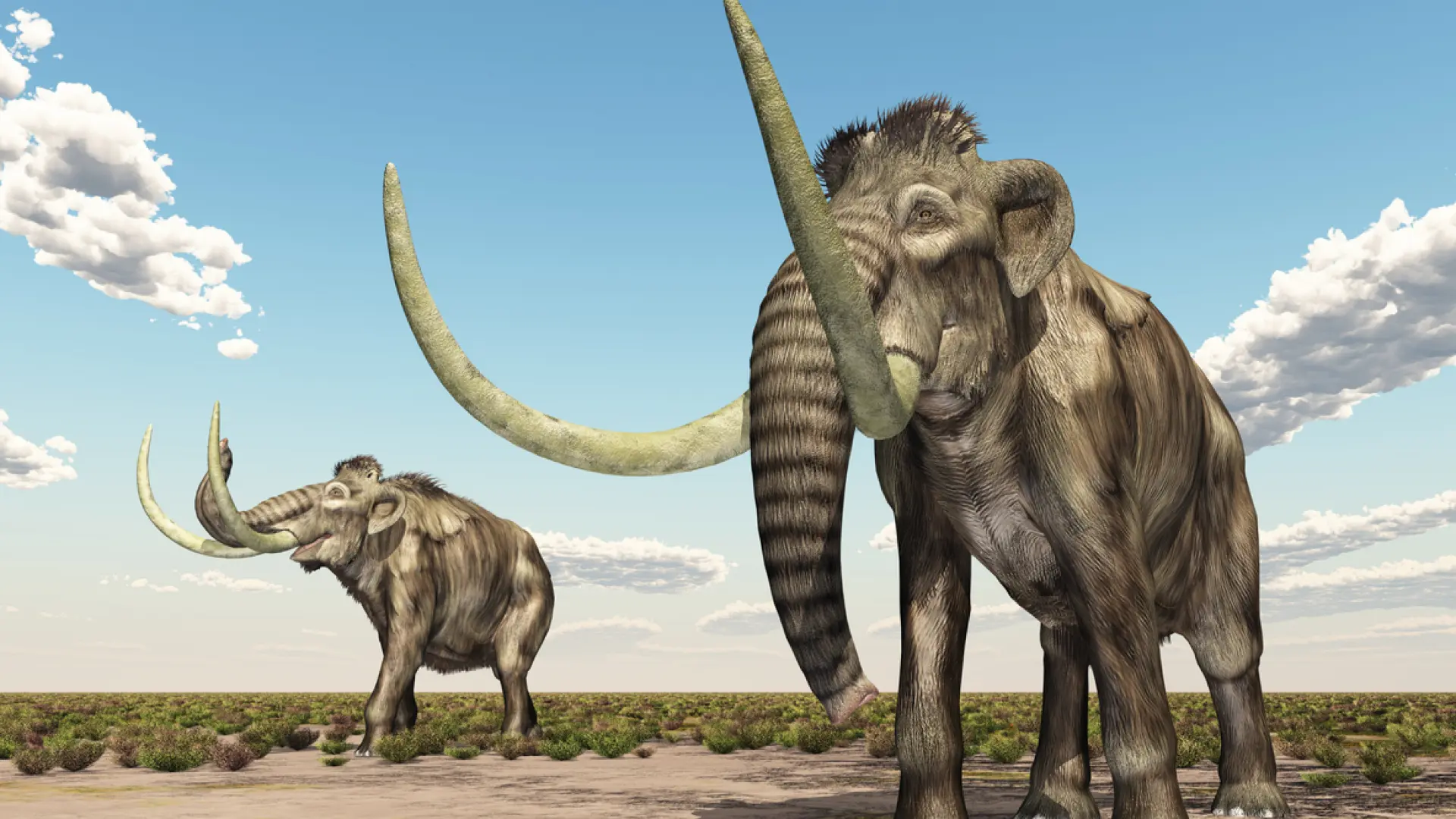 Un mamut de 1,1 millones de años revela el ADN más antiguo de una bacteria en un animal