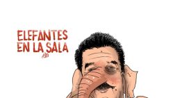 Elefantes en la sala