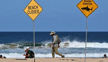 Tiburón mata a un surfista en playa de Australia