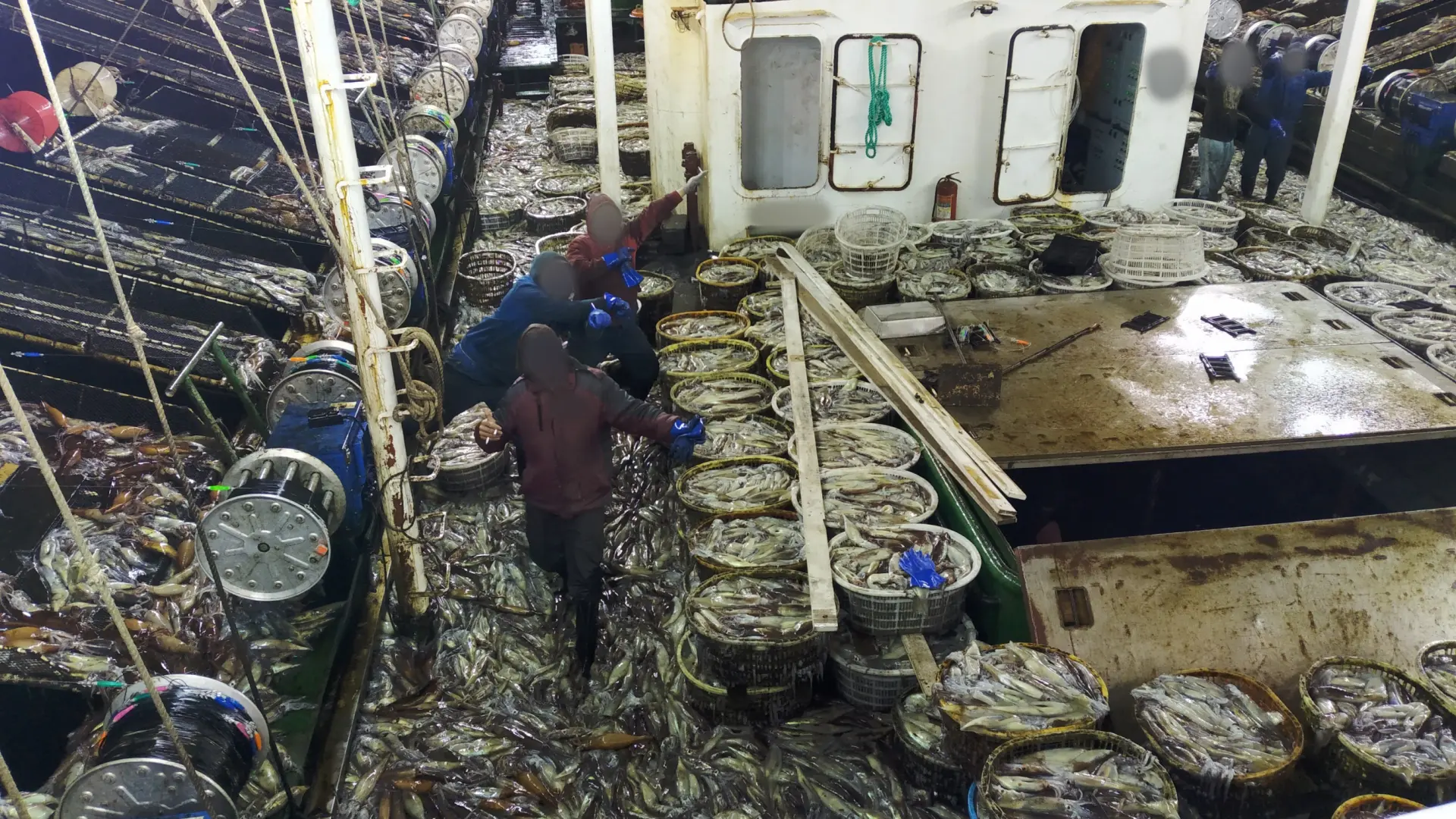 Piden a España que controle la importación del calamar argentino para atajar situaciones de «esclavitud humana» y «sobrepesca»
