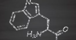 Claves para aumentar la eficacia del triptófano, aliado de nuestra salud mental