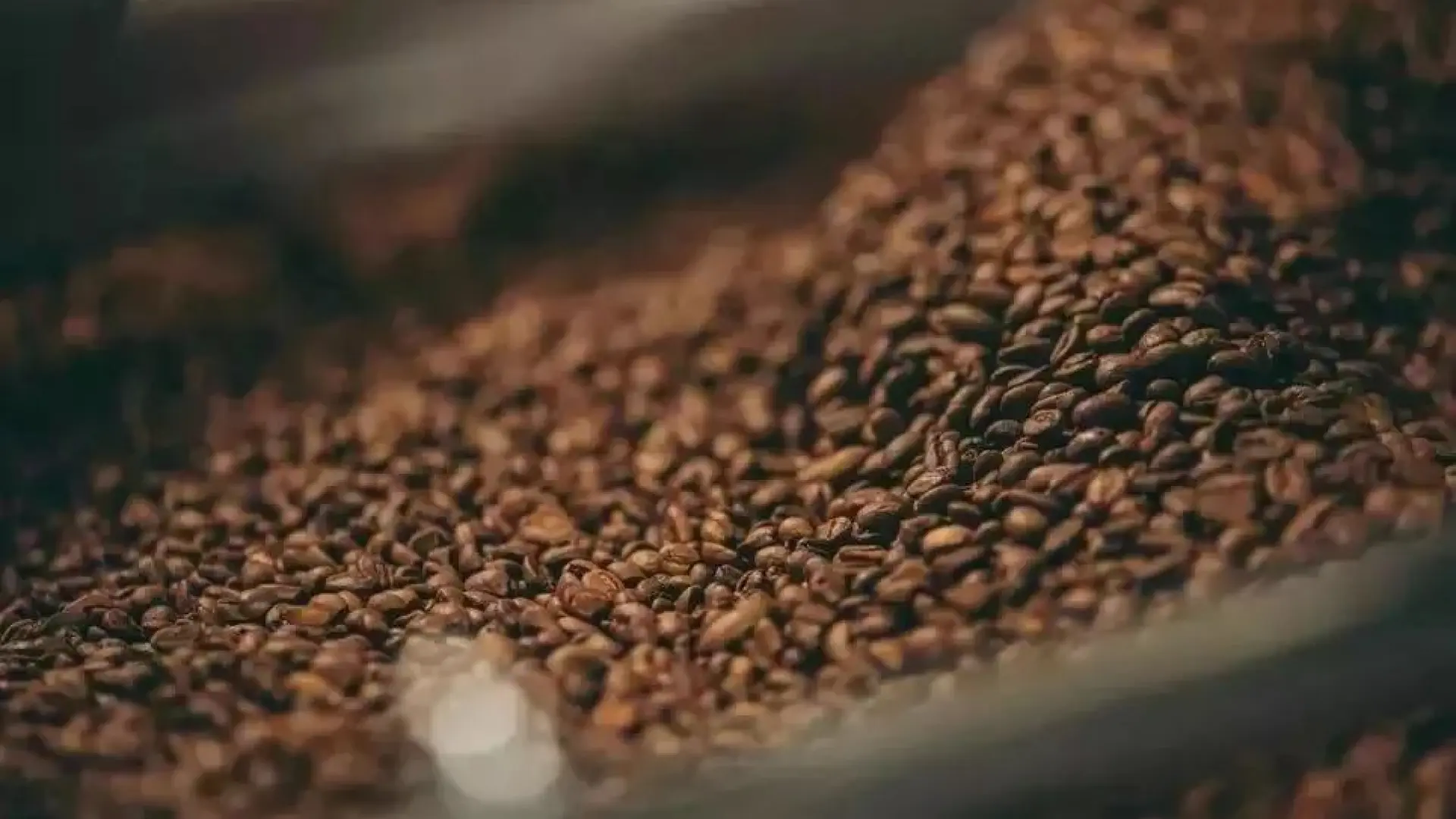 El endocrino Francisco Rosero advierte sobre el café: «Se cree que es bueno tomarlo en ayunas, pero…»