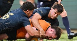 Los Pumas perdieron en la última jugada ante Australia y dejaron pasar una chance inmejorable en el Rugby Championship