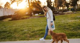Álvaro Puche, entrenador personal: «Aprovechar para tirar la basura o dar una vuelta al parque después de cenar durante 15 o 20 minutitos, mejora la digestión y el descanso» Álvaro Puche, entrenador personal: «Aprovechar para tirar la basura o dar una vuelta al parque después de cenar durante 15 o 20 minutitos, mejora la digestión y el descanso»