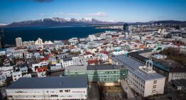 Islandia encuentra mosquitos por primera vez en su territorio por el calentamiento global