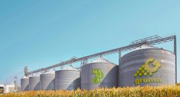 Gruma analiza aumentar importaciones de maíz de EU para mitigar efecto por precios más altos