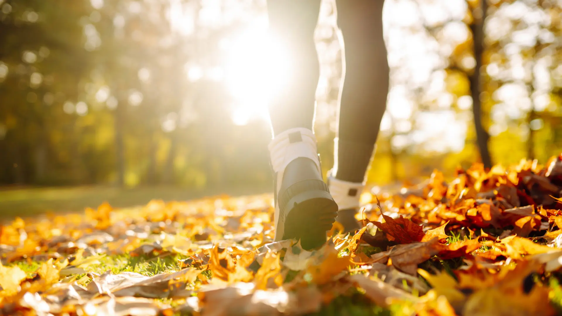 Walking yoga, la práctica que promete fortalecer tus músculos y combatir la ansiedad