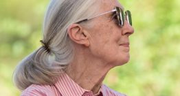 Jane Goodall cambió el paradigma de la evolución humana y el lugar que ocupamos en la naturaleza