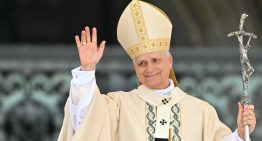 Papa León XIV cuestiona posturas provida