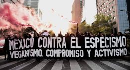 Marcha contra el especismo recorrerá las calles de la Ciudad de México