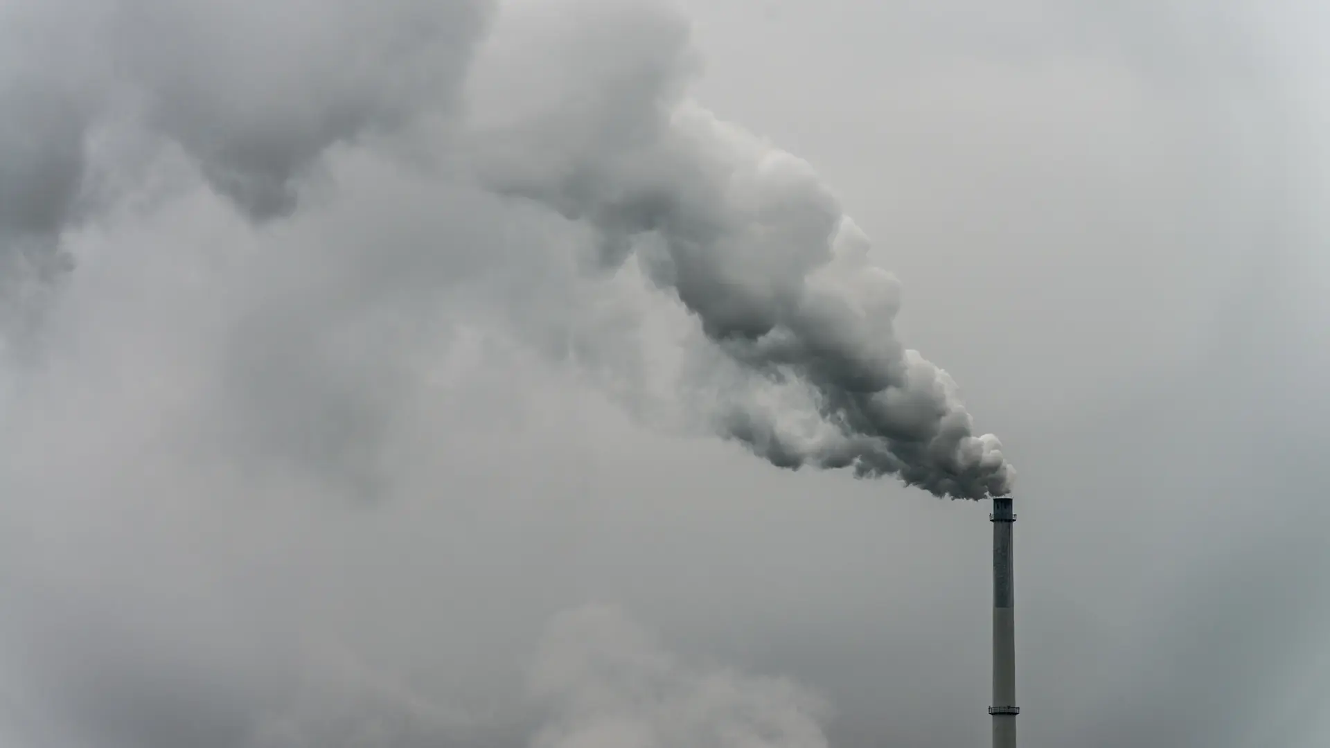 El CO2 en la atmósfera batió su récord en 2024: «Las altas temperaturas seguirán durante más tiempo»