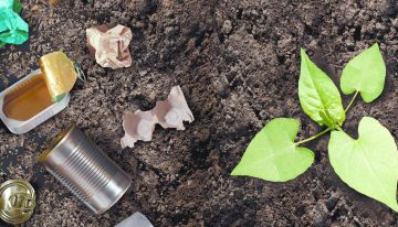 Economía circular: de los discursos a los proyectos con impacto real