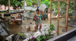 Daños por lluvias en Veracruz, Puebla, Hidalgo y otros estados suma 1,206 millones de pesos: AMIS