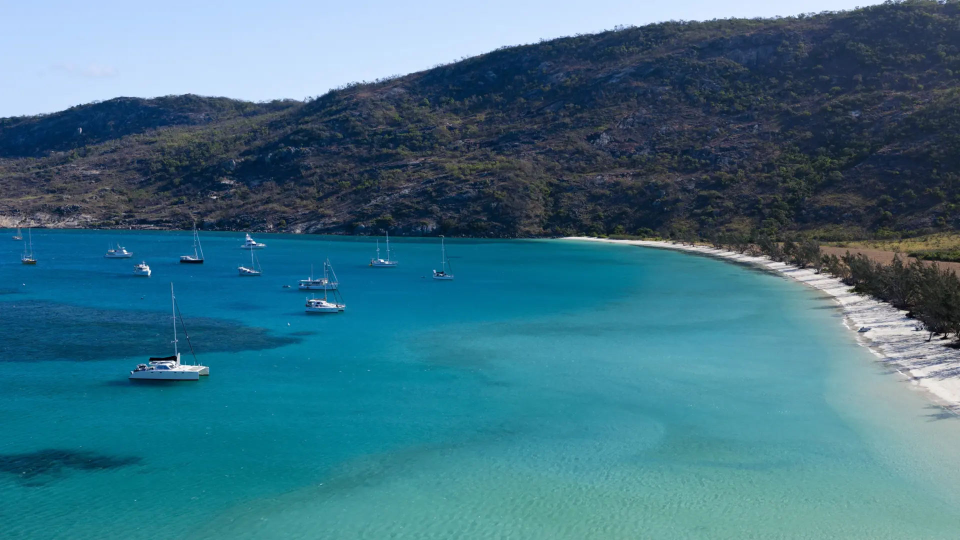 Hallan el cuerpo de una octogenaria en una isla de Australia después de que su crucero zarpara sin ella Hallan el cuerpo de una octogenaria en una isla de Australia después de que su crucero zarpara sin ella