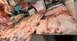 El pollo y los huevos se consolidaron como las proteínas más consumidas en Caracas por esta razón El pollo y los huevos se consolidaron como las proteínas más consumidas en Caracas por esta razón