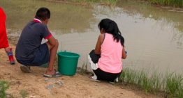Emergencia humanitaria en Guajira: Comunidades wayuu se enferman por agua contaminada en Zulia