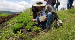 La transición digital es el reto de los ingenieros agrónomos