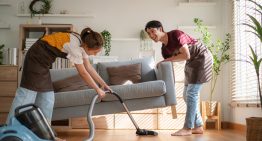 Dr. Nicolás Olea, experto en tóxicos, alerta: «El polvo que actualmente tenemos en casa es fibra que engloba o atrapa contaminantes químicos de los más populares»