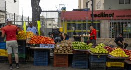 Abastecimiento casi total y compras progresivas: así pinta el cierre de 2025, según Ansa