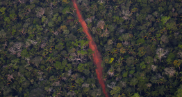 Ferrogrão, el Tren Maya de Brasil, levanta críticas en la COP30: ¿Qué dicen críticos y defensores?