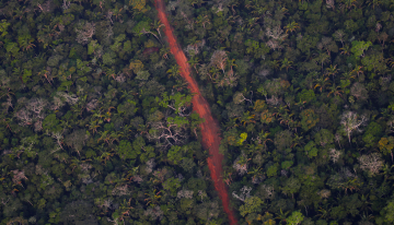 Ferrogrão, el Tren Maya de Brasil, levanta críticas en la COP30: ¿Qué dicen críticos y defensores?