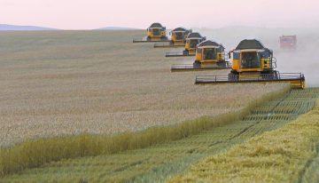 Exportaciones rusas de grano a través del mar Báltico aumentan un 30% en 2025