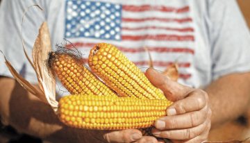 Tailandia acepta aumentar importaciones de maíz de EU y bajar a cero el arancel