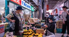 Precios mundiales de los alimentos caen en octubre por abundancia de suministros: FAO