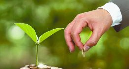 México vive una triple crisis ambiental y los impuestos verdes pueden contribuir a mitigarla: Alianza por la Justicia Fiscal